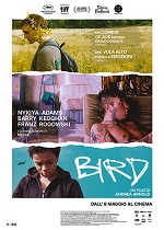 Locandina Film Bird