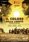 Locandina Film Il colore della libertà - Goodbye Bafana